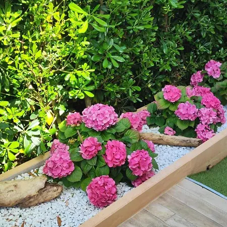 Nido Gaga * Capoliveri (Isola d'Elba)