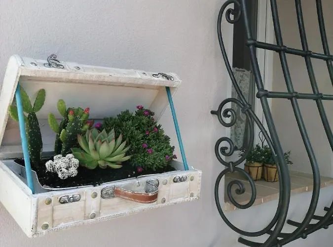 Nido Gagà Capoliveri (Isola d'Elba)