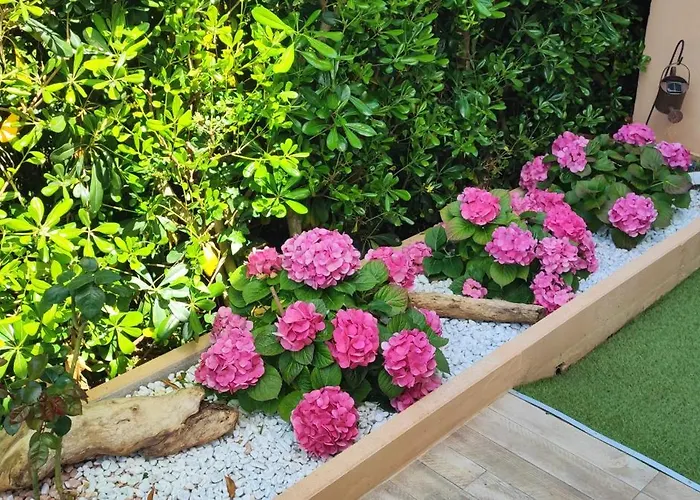 Nido Gagà * Capoliveri (Isola d'Elba)